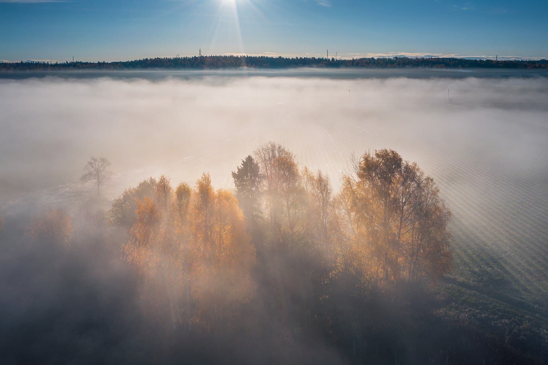 Morning fog at some trees by Keravanjoki river and the fields of Hanaböle in Vantaa, Finland in 2021 October.