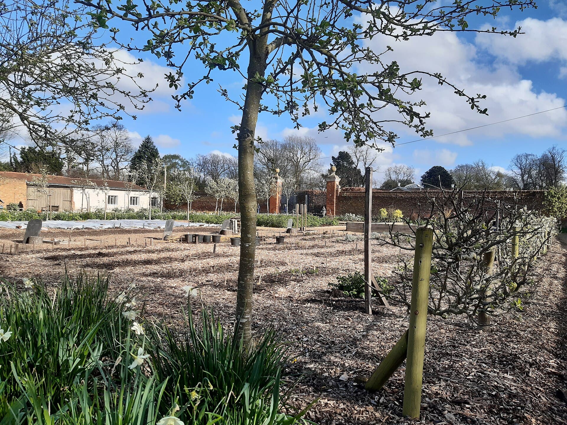 Chiswick House Kitchen Garden - vegetable beds inside brick walls, gates, and rows of trees