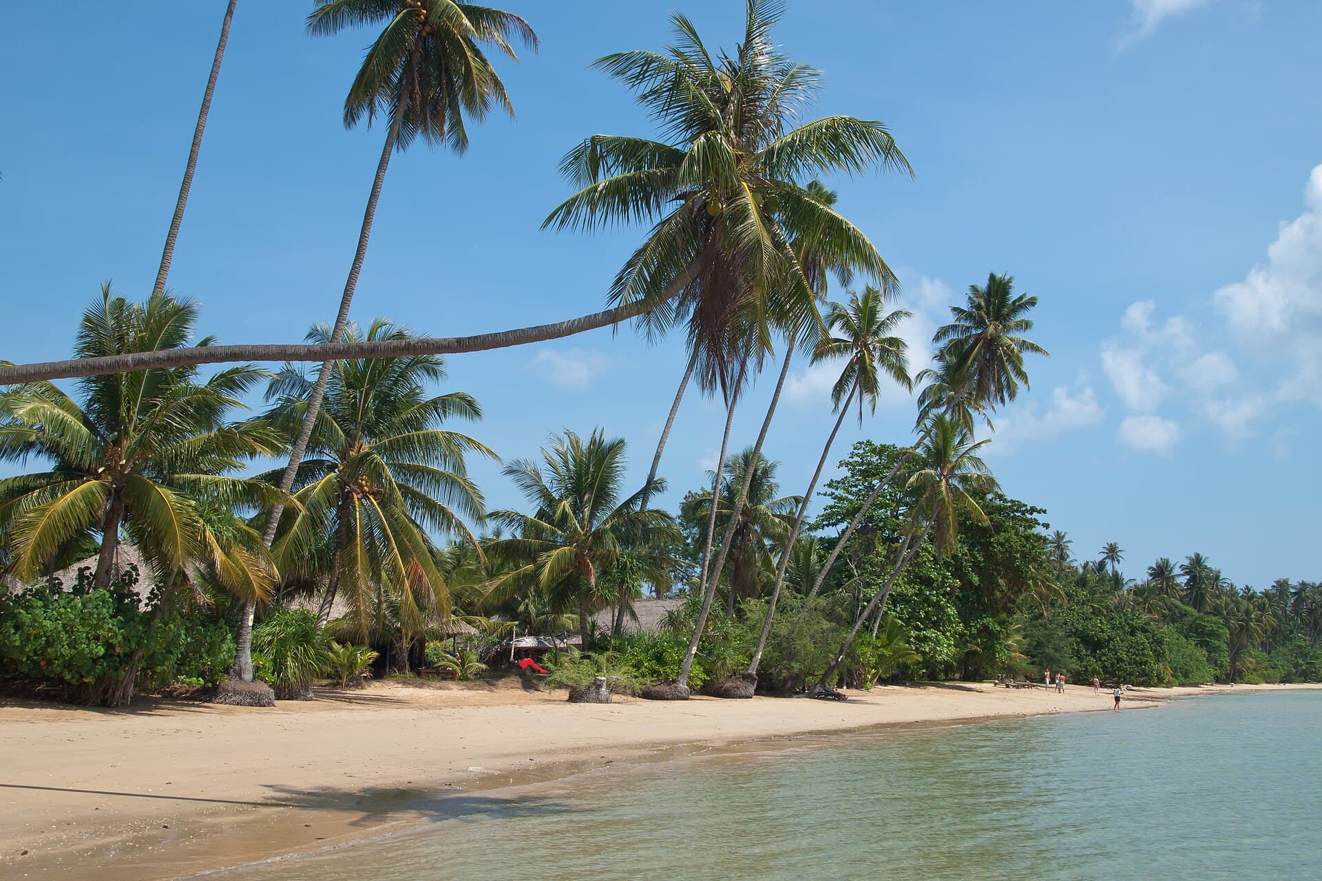 Palm trees on the beach. Koh Mak, beautiful and unspoiled tropical location in the Gulf of Thailand with white sand beaches, clear blue water, coconut palm trees and rubber trees. Koh Mak, tropical island, Thailand.