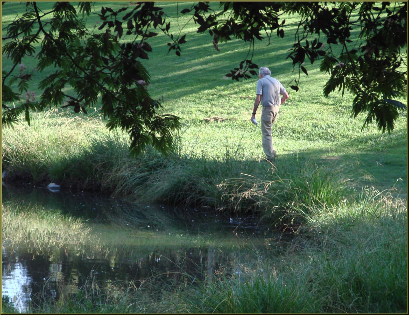 An older man walking alone along a shaded path in a public park.