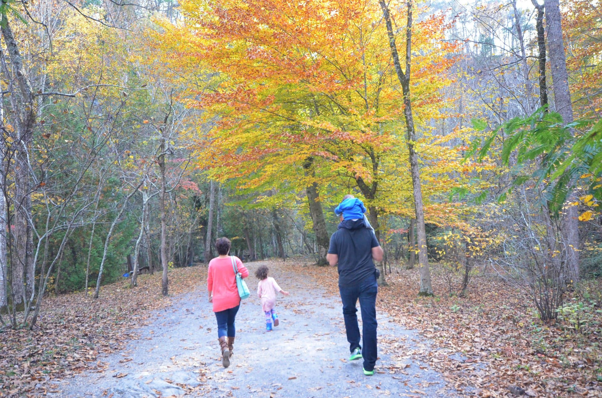 A family walking together on a woodland trail.