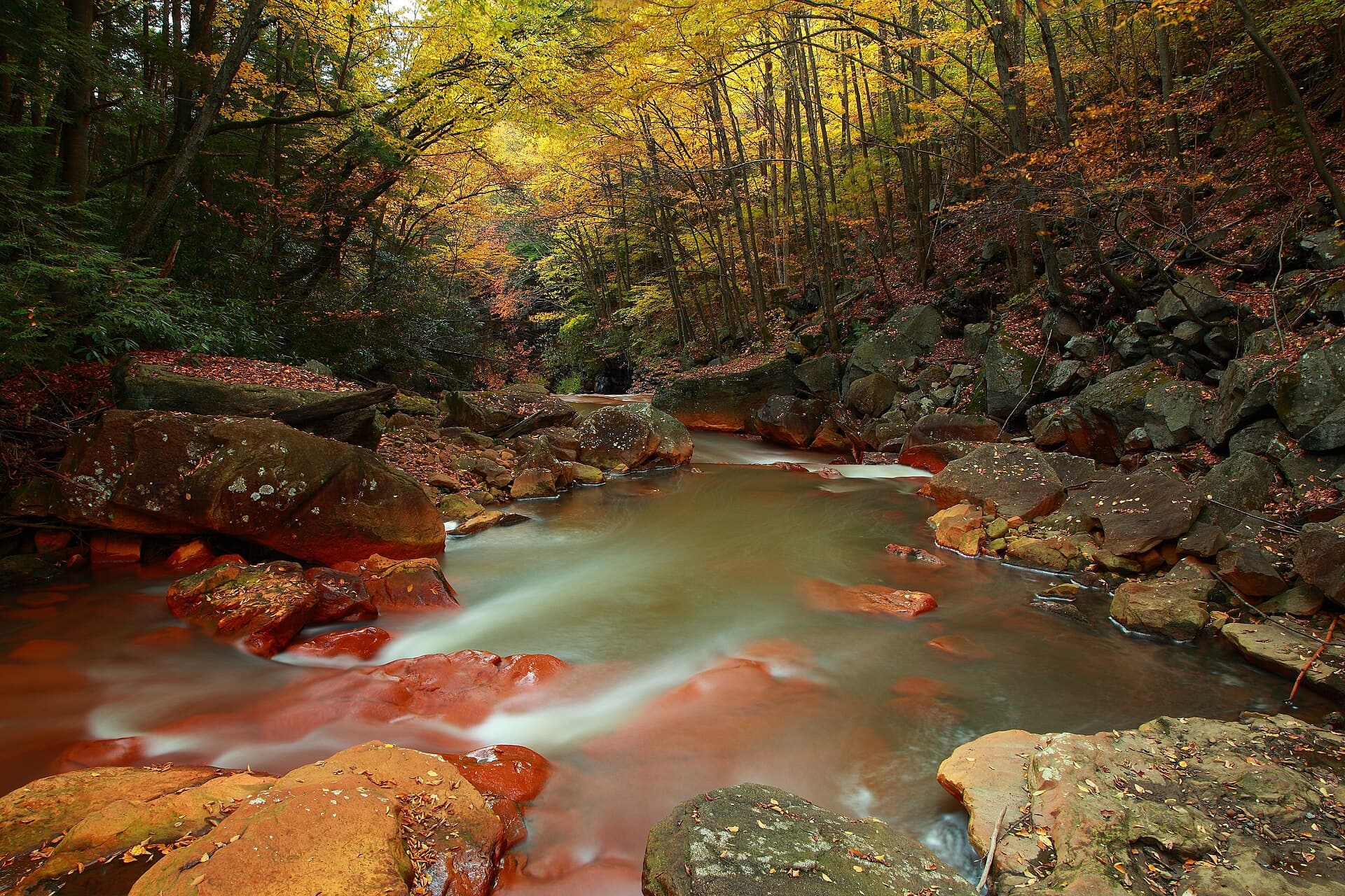 A rocky creek moving through autumn forest.